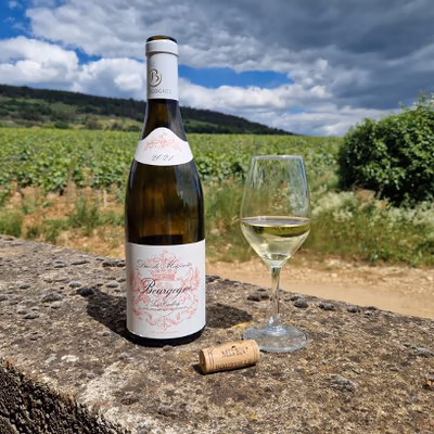Decanter chassagne puligny 2024