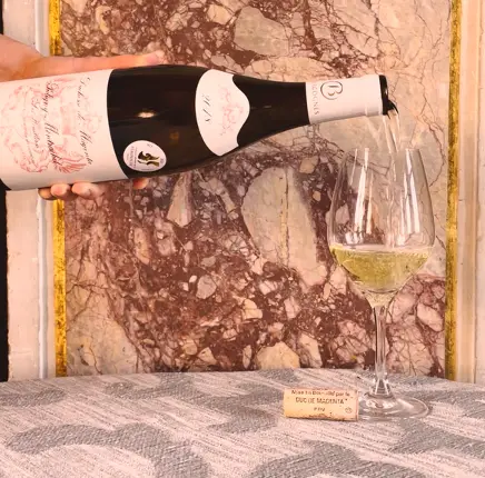 Bouteille de Puligny-Montrachet Les Houillères posée sur la pierre calcaire fossilifère du terroir