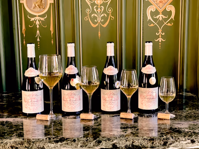 Burgundy report duc magenta