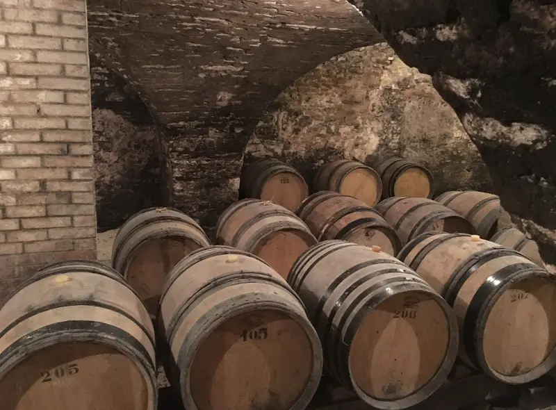 Fûts numérotés dans la cave voûtée, élevage du Bourgogne blanc