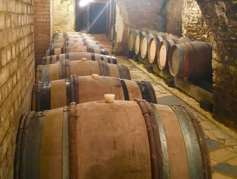 Fûts de chêne dans la cave en pierre, élevage du Monthélie