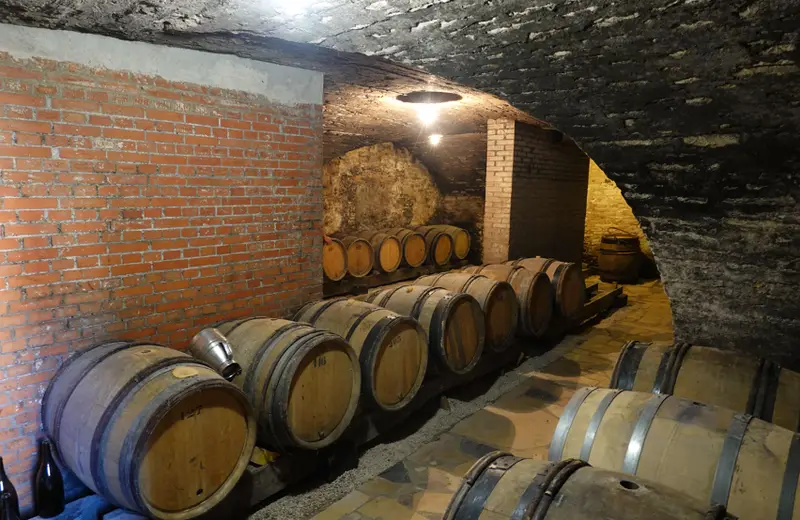 Cave voûtée en brique avec fûts alignés, élevage Mâcon-Villages