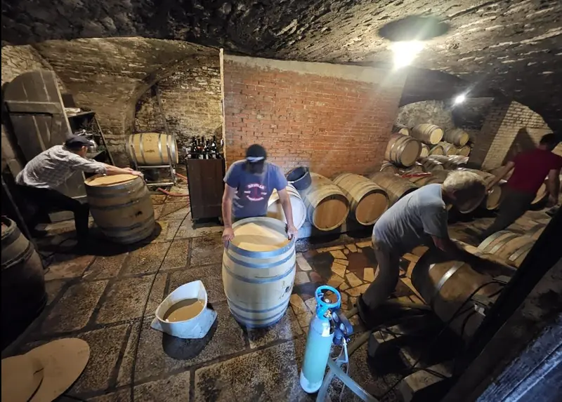 L'équipe du domaine manipulant les fûts dans la cave de l'Abbaye de Morgeot