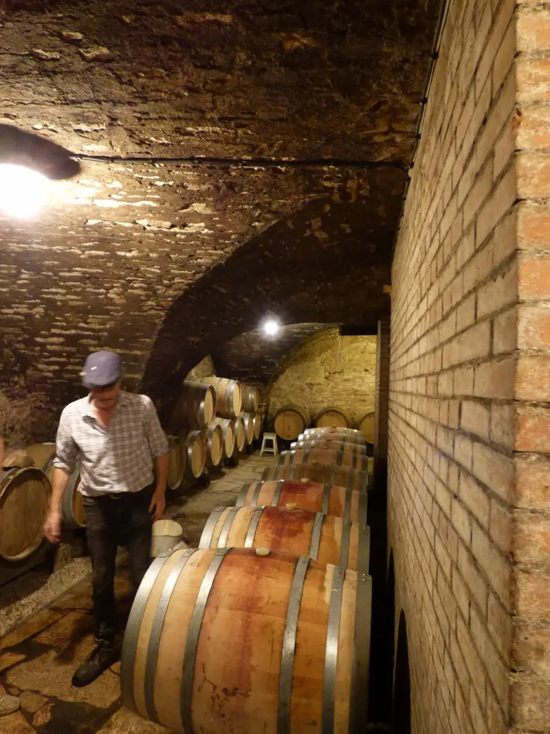 Vigneron dans la cave voûtée de l'Abbaye de Morgeot, savoir-faire artisanal