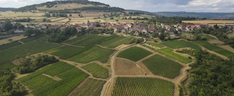 Vue aérienne du vignoble de Chassagne-Montrachet et du village, Domaine des Ducs de Magenta