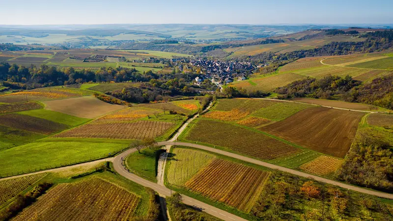 Vue aérienne du vignoble d'automne aux couleurs chatoyantes, village bourguignon