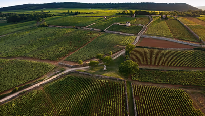 Abbaye de morgeot histoire terroir